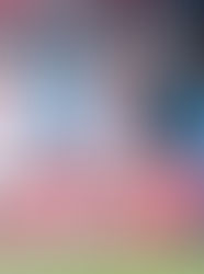 Toronto FC 2–1 Columbus Crew: Late Zimmerman Header Seals Comeback Victory