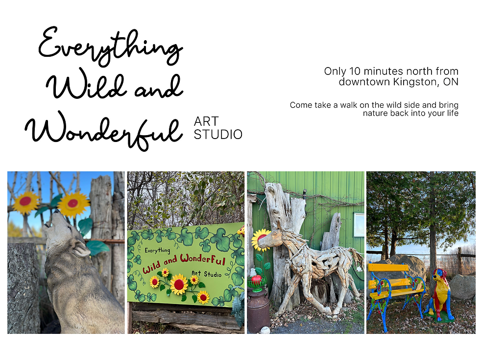 Website Art Studio (2024-NoName).png