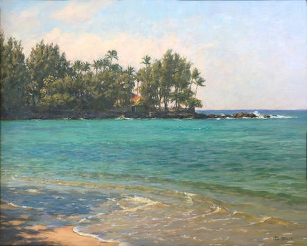 wailea beach copy.jpg