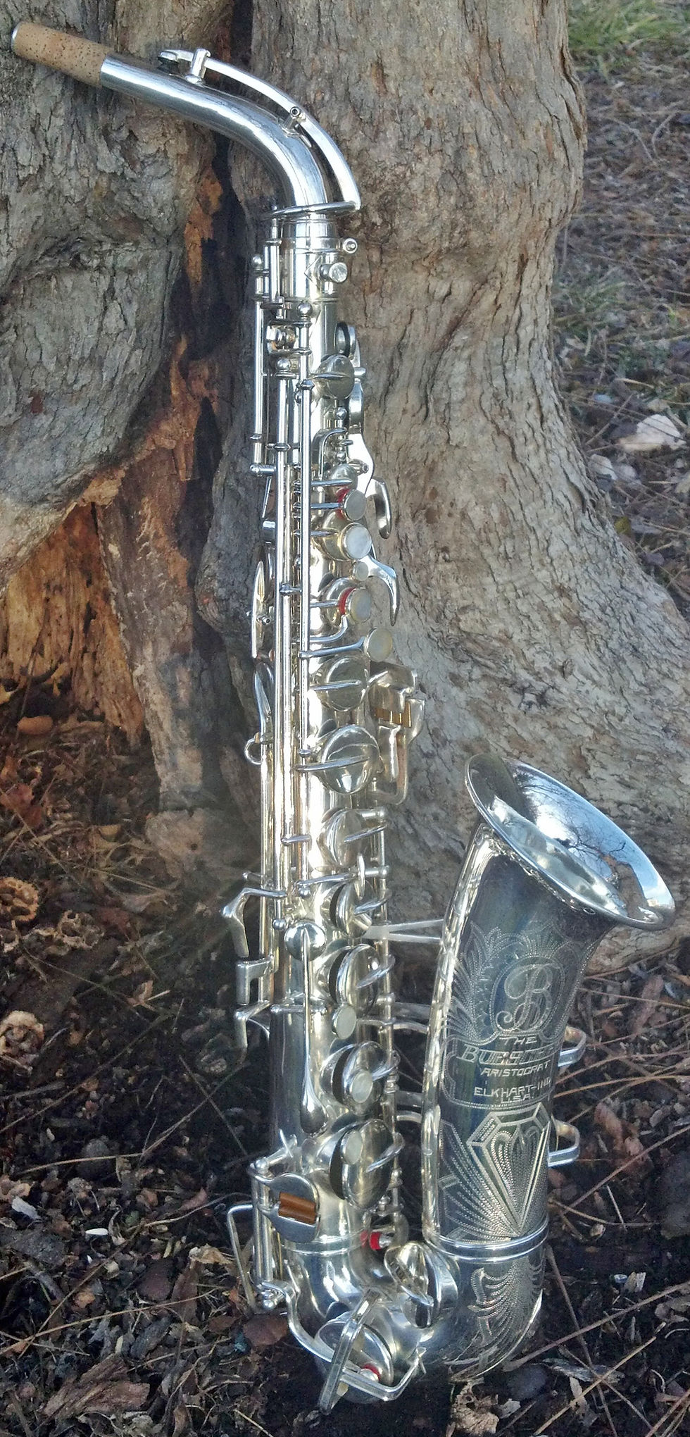 329sideview.jpg