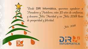 Resumen del año 2017 Dir Informática