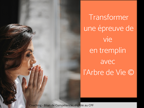 Transformer une épreuve de vie en tremplin avec l'Arbre de Vie