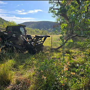 CAT 259D3 With Forestry Mulcher