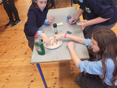 Science Week in Knockminna NS.