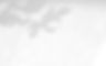 158092115_l_normal_none.jpg