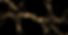 Progetto senza titolo - 2024-02-28T203142.548.png