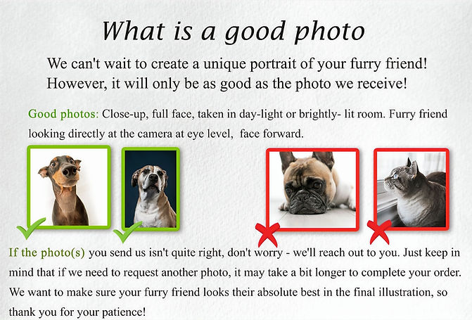 Comparison showing a good-quality pet photo versus a poor-quality photo for portrait reference