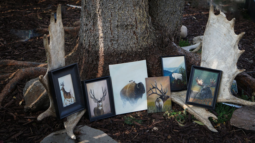 Deer, Elk, Moose, Bison, Mountain Goat: Studies