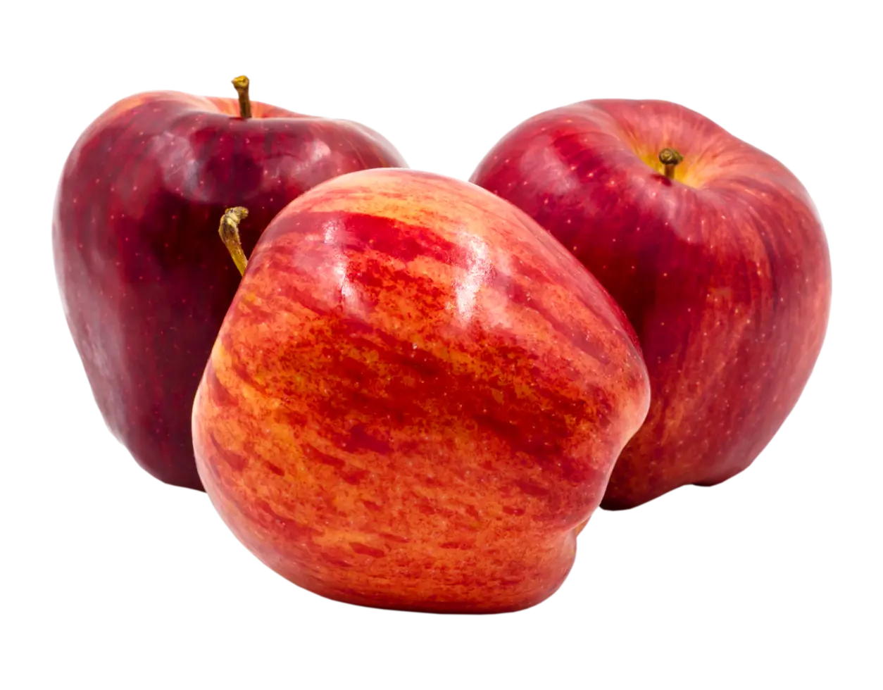 Organic Red Apple