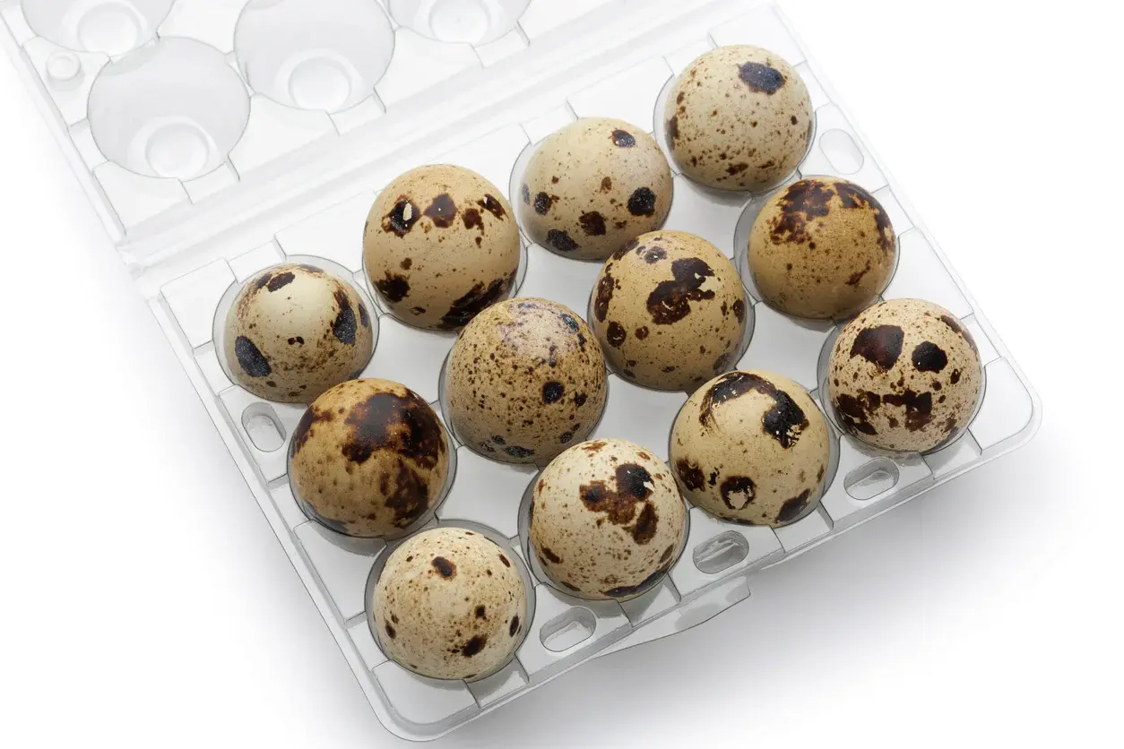 12 Pack Organic Quail Eggs