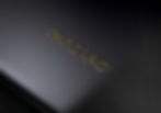 Gold_Logo_Mockup copy.jpg