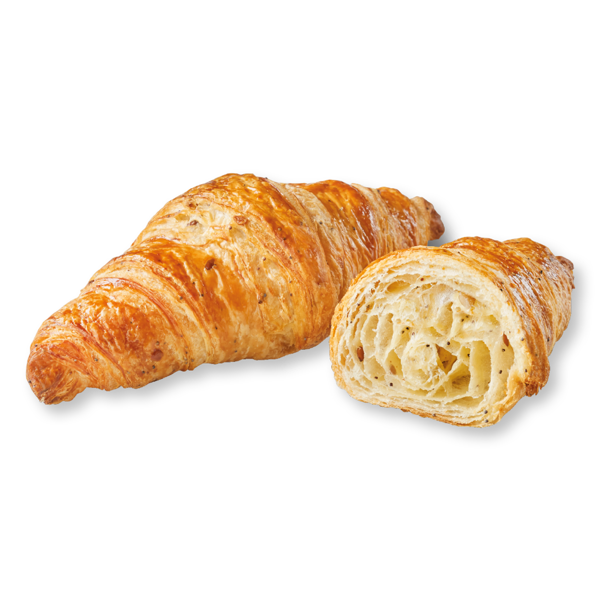 Fluffy Croissant 