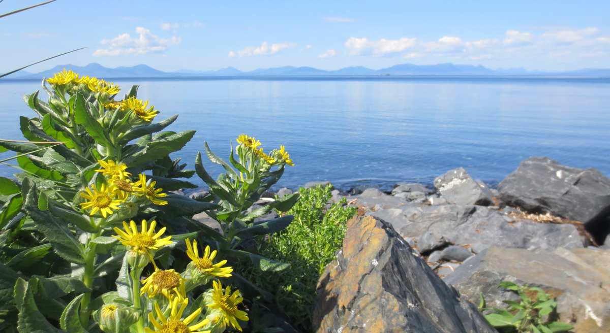 Ouzinkie Native Corporation Alaska ONC Scholarships