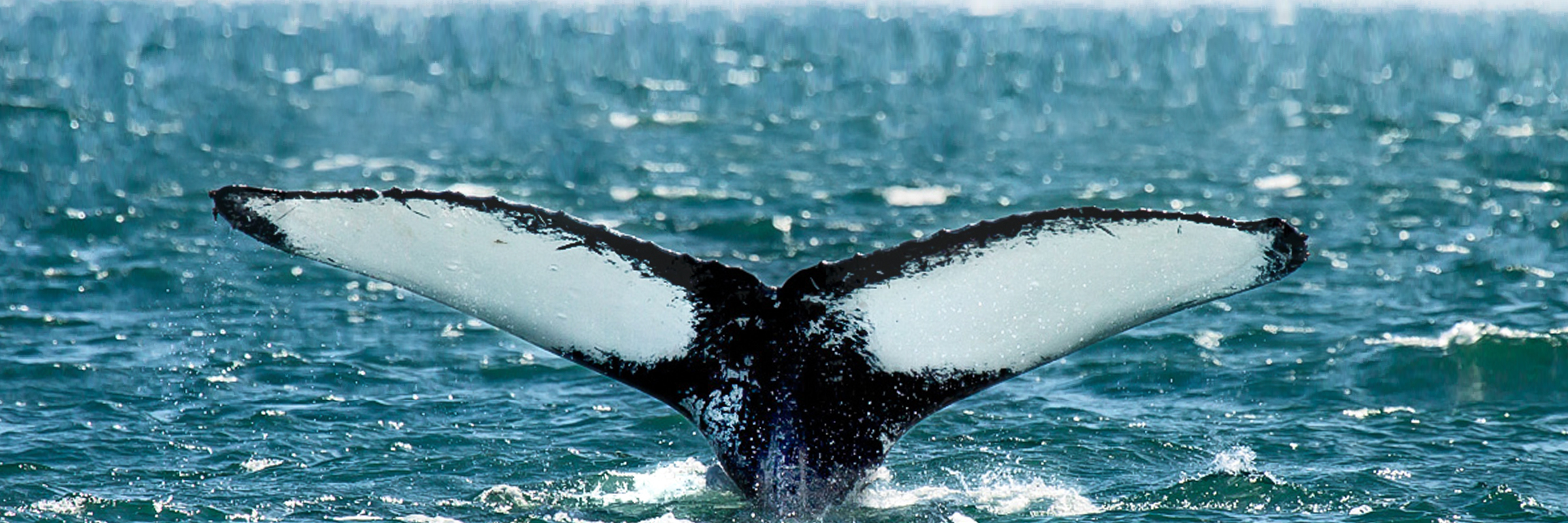 Ouzinkie Native Corporation Alaska ONC Scholarships