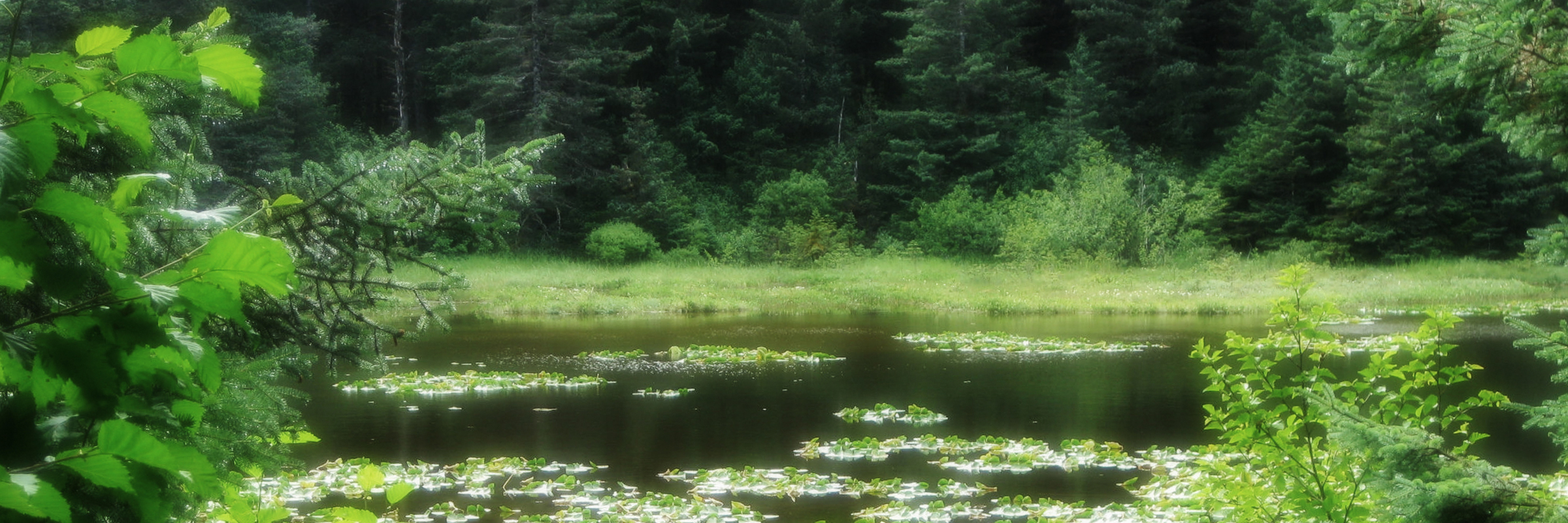 Ouzinkie Native Corporation Alaska ONC Scholarships