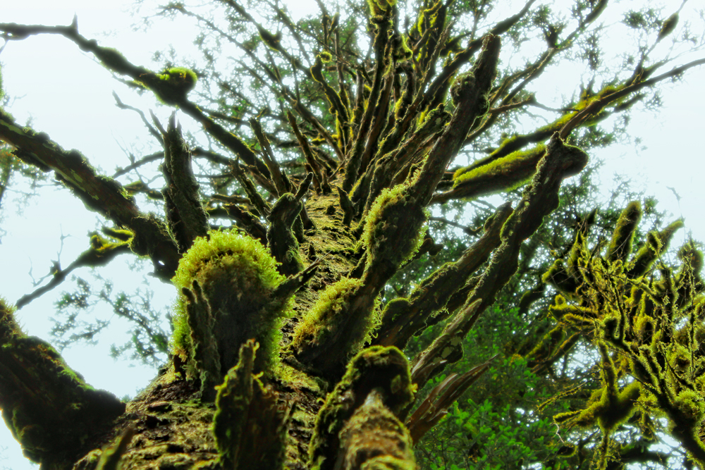 Ouzinkie Native Corporation Alaska ONC Scholarships