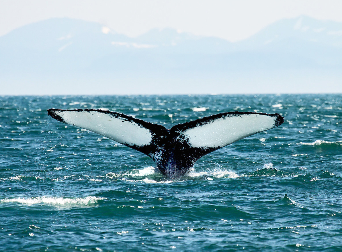 Ouzinkie Native Corporation Alaska ONC Scholarships