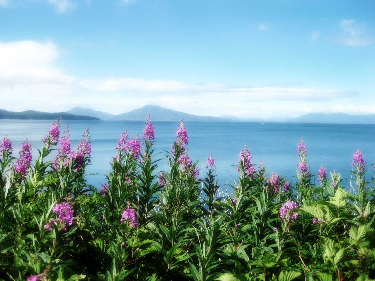 Ouzinkie Native Corporation Alaska ONC Scholarships