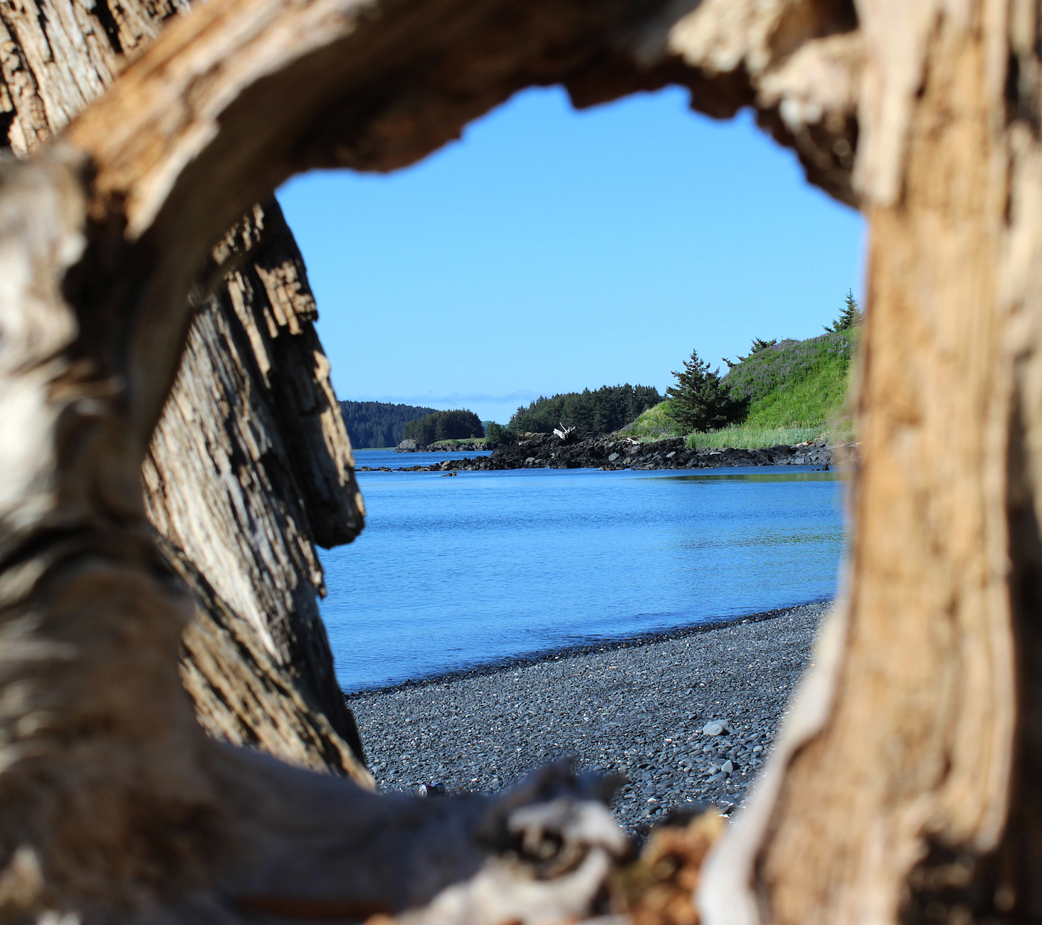 Ouzinkie Native Corporation Alaska ONC Scholarships