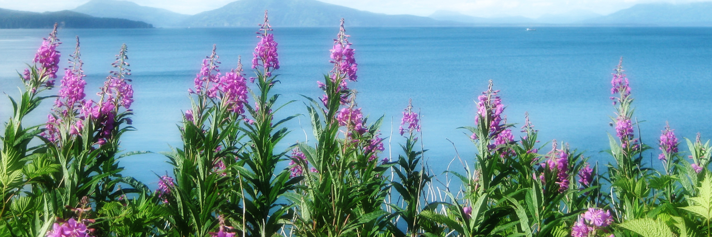 Ouzinkie Native Corporation Alaska ONC Scholarships