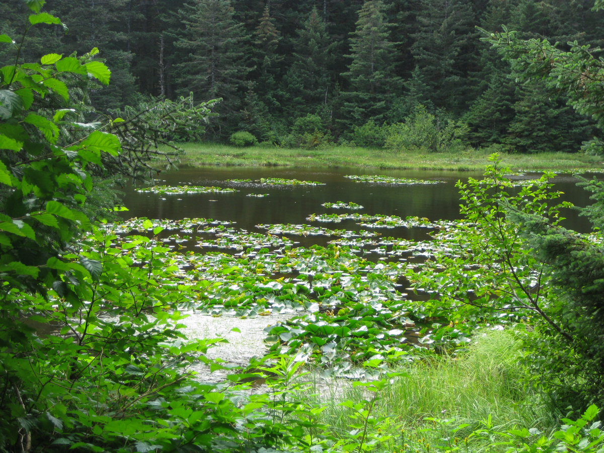 Ouzinkie Native Corporation Alaska ONC Scholarships