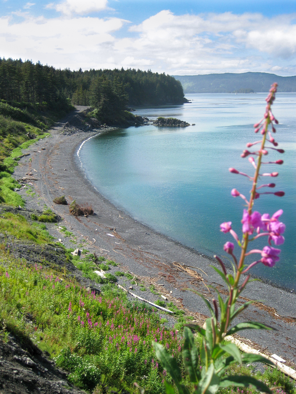 Ouzinkie Native Corporation Alaska ONC Scholarships