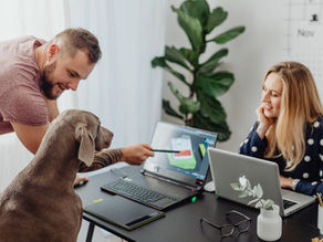 Benefits of a Pet Friendly workspace