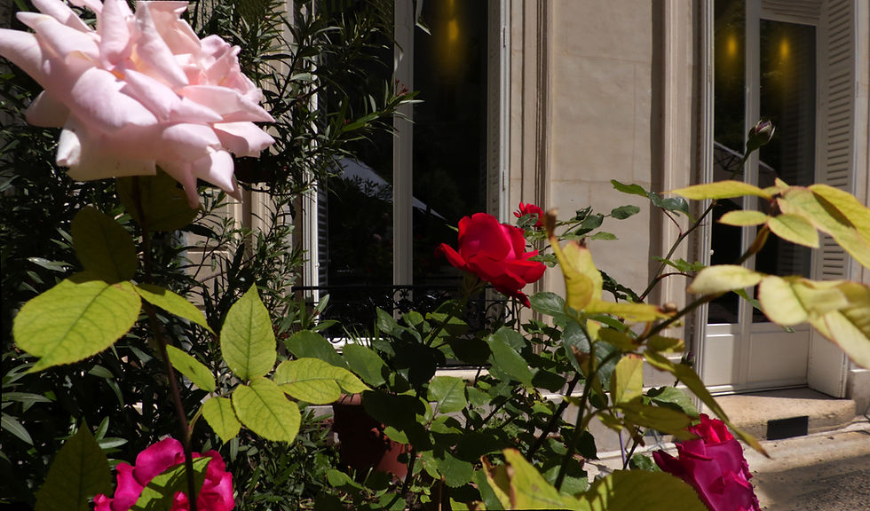 les-roses-du-jardin-de-la-maison-du-protestantisme
