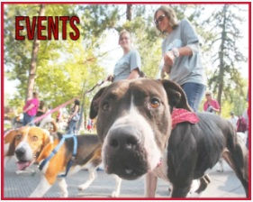 Events