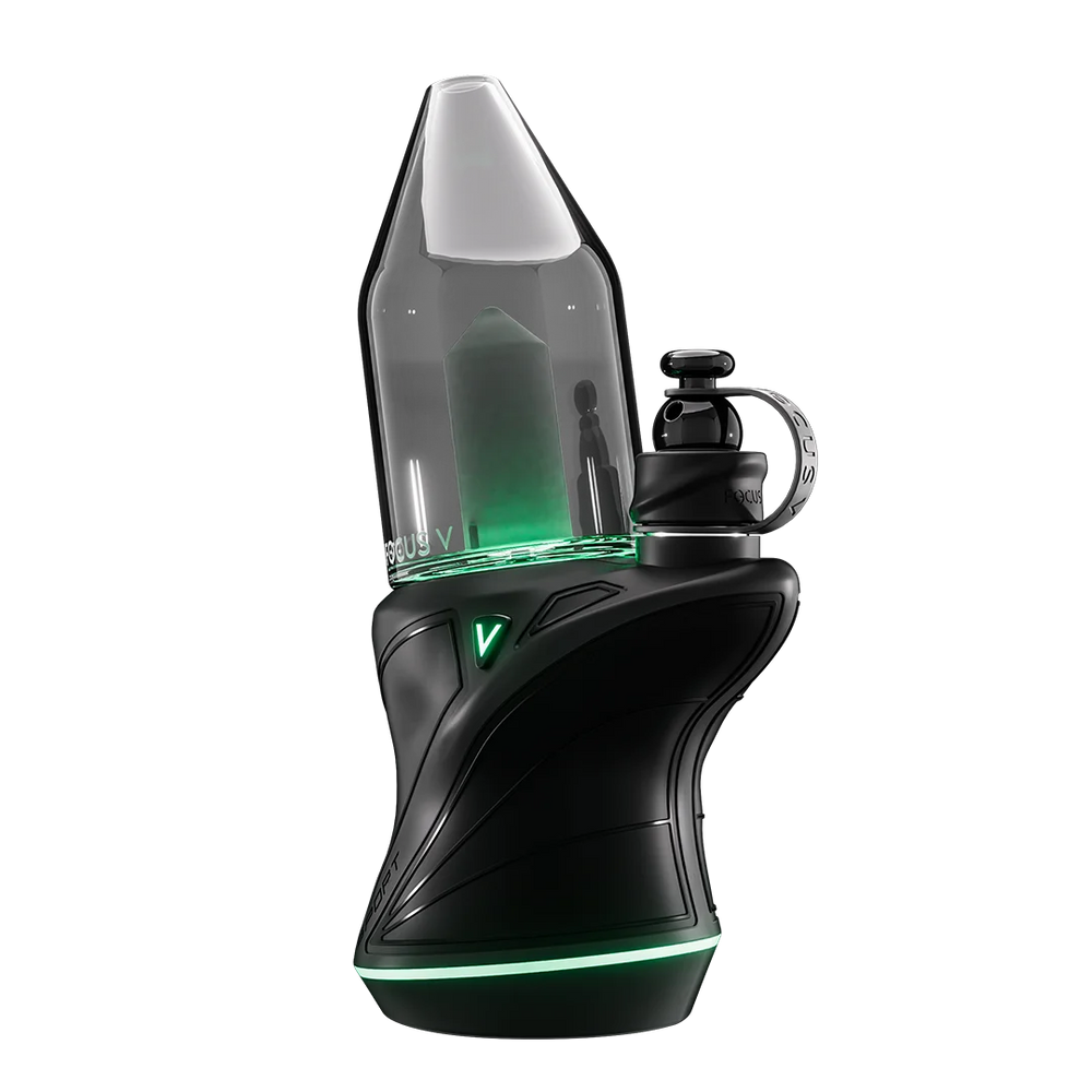 Focus v - Carta Sport