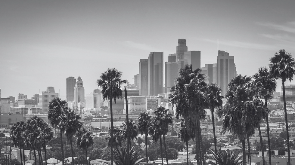 Screenshot 2025-03-20 at 9.39.03 AM.png