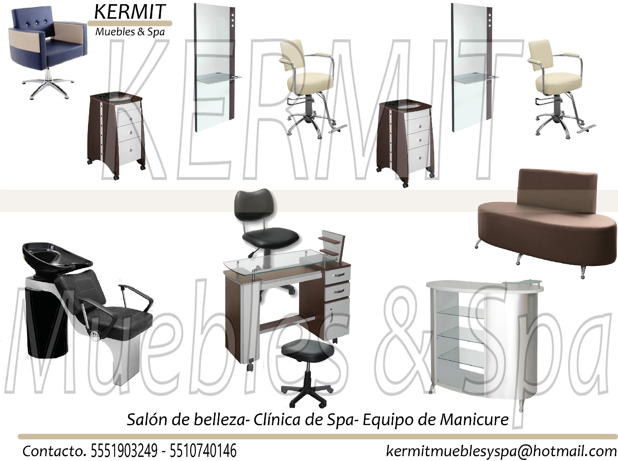 Terrestre