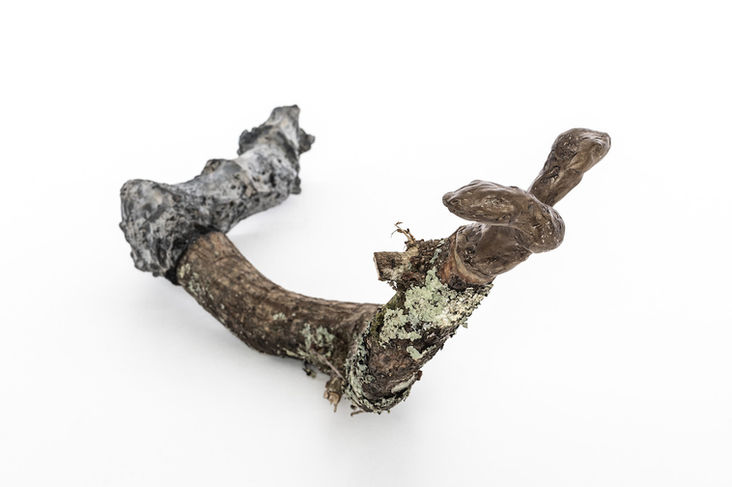 Totem VII (2 headed snake ), 2019 Unfired clay, wax polish, oak tree branch, cement, pigm