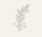 Sage Sprigs_edited.jpg