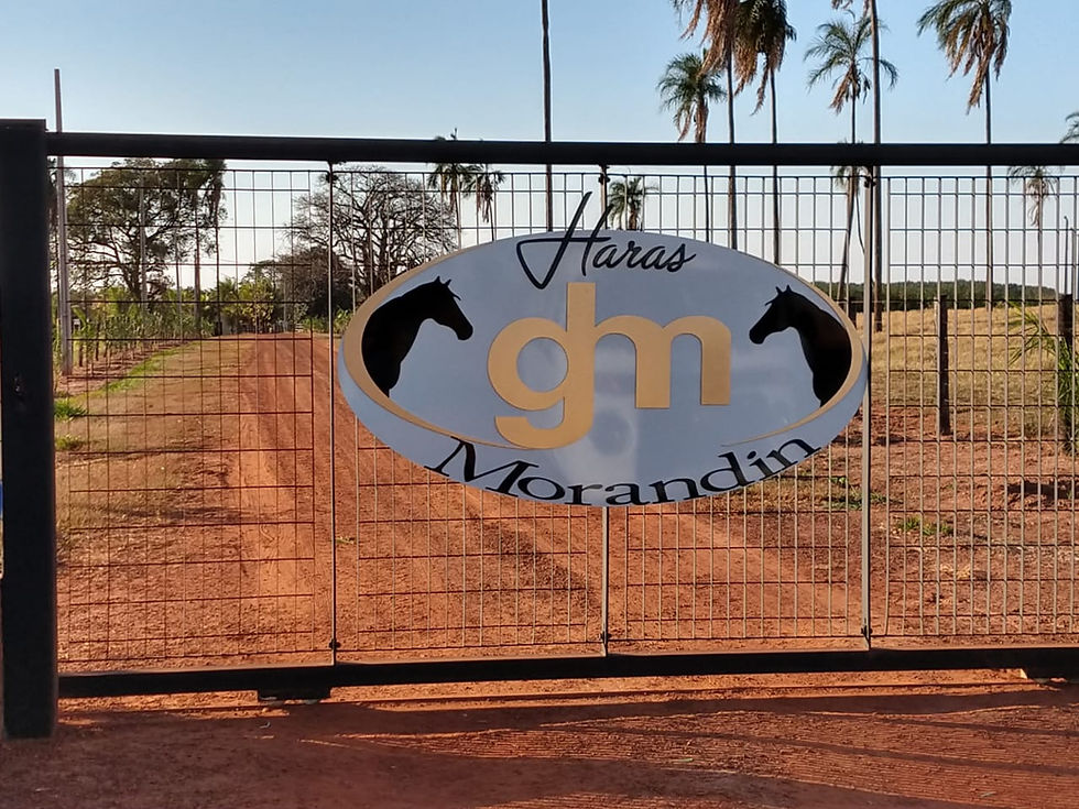 WhatsApp Image 2018-06-21 at 08.46.18