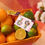 Miniature : BO BONNIE menthe-choco