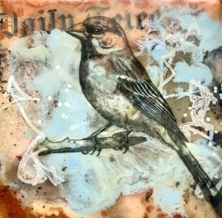 Sparrow