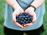 Ditch the diet: How to beat the multi-million pound myths of the dieting industry.