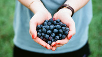 Ditch the diet: How to beat the multi-million pound myths of the dieting industry.