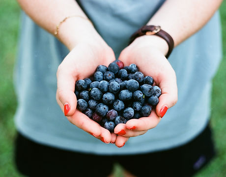 Blueberries