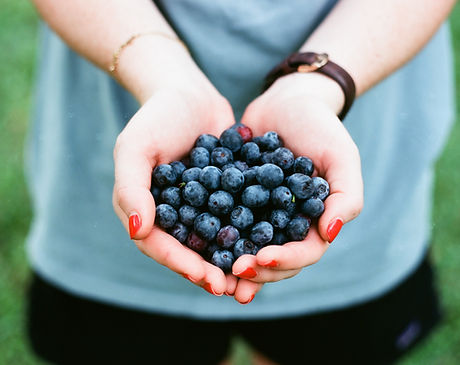 Blueberries
