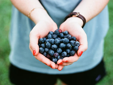 Blueberries