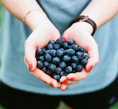 Blueberries