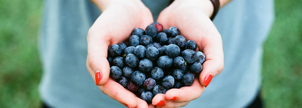 Blueberries