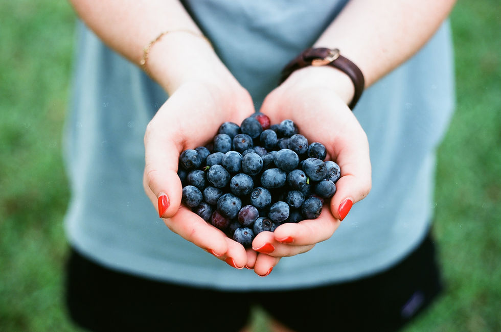 Hands With Blueberries
