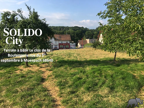 Nos biens vendus