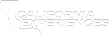 Picture4.png