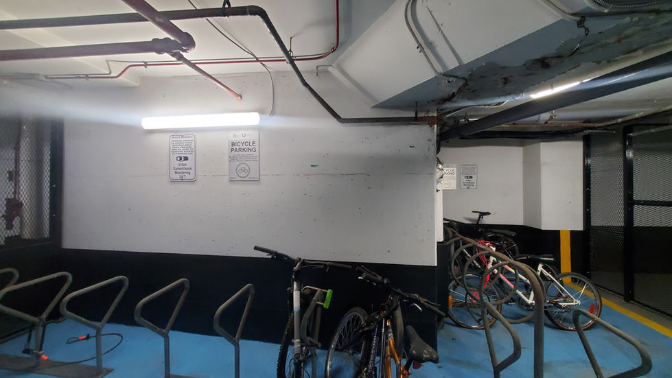 Before_Bike Cage