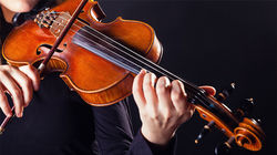 violin2