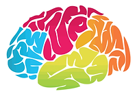 cerebro corregido.png